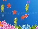 Jeu Star Fish